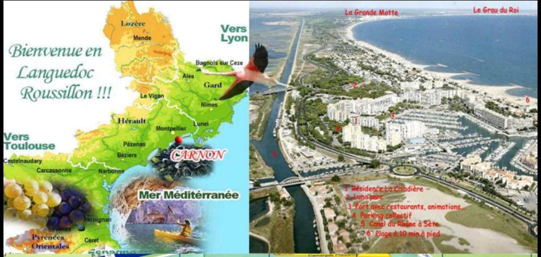 Pérols Suite-Junior -Villa Helene - Montpellier Sud - Aeroport- Piscine Privee-2Mn Des Plages מראה חיצוני תמונה