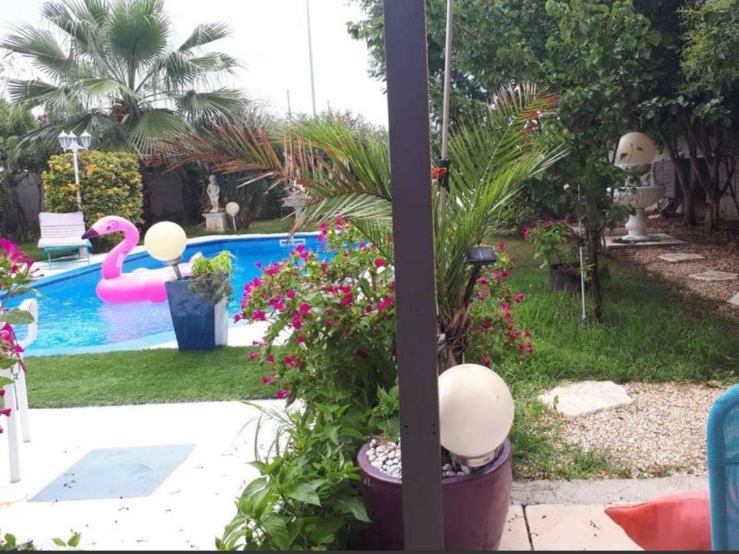 Pérols Suite-Junior -Villa Helene - Montpellier Sud - Aeroport- Piscine Privee-2Mn Des Plages חדר תמונה